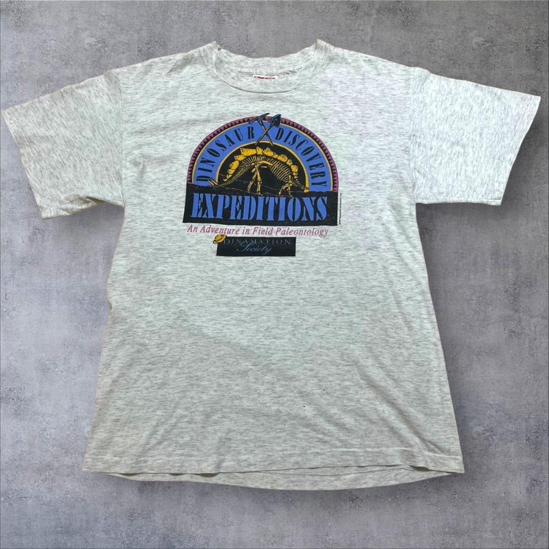 90s USA製 アート 恐竜 ダイナソー グレー L co-000018