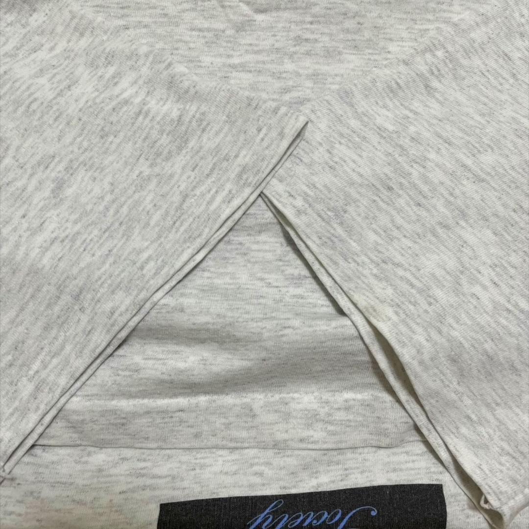 90s USA製 アート 恐竜 ダイナソー グレー L co-000018