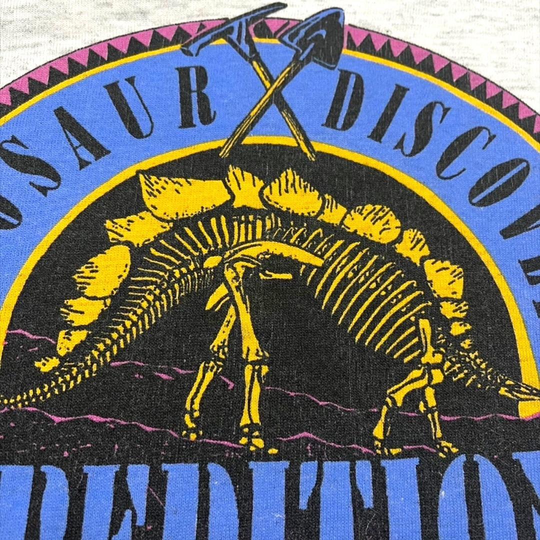 90s USA製 アート 恐竜 ダイナソー グレー L co-000018