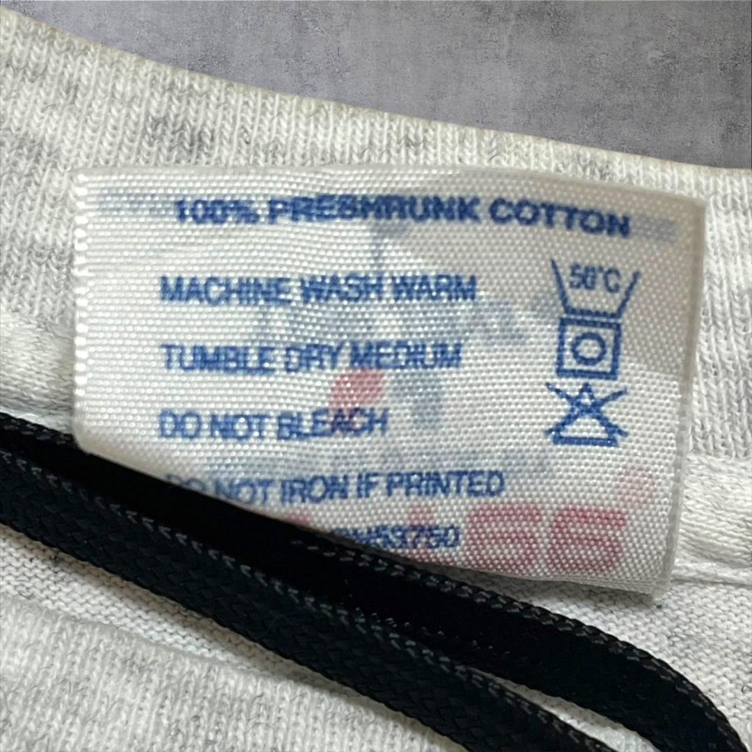 90s USA製 アート 恐竜 ダイナソー グレー L co-000018