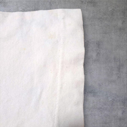 90s ビンテージ Tシャツ アート イタリア ピサの斜塔 a-000027 ガリレオ