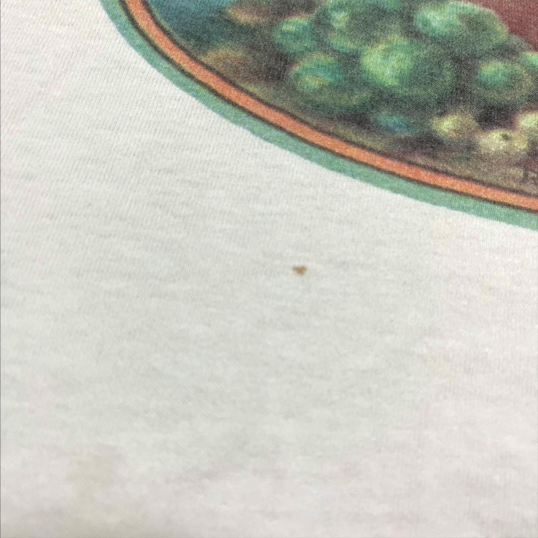 90s フルーツオブザルーム ロゴT 白 2XL USA製 co-000050