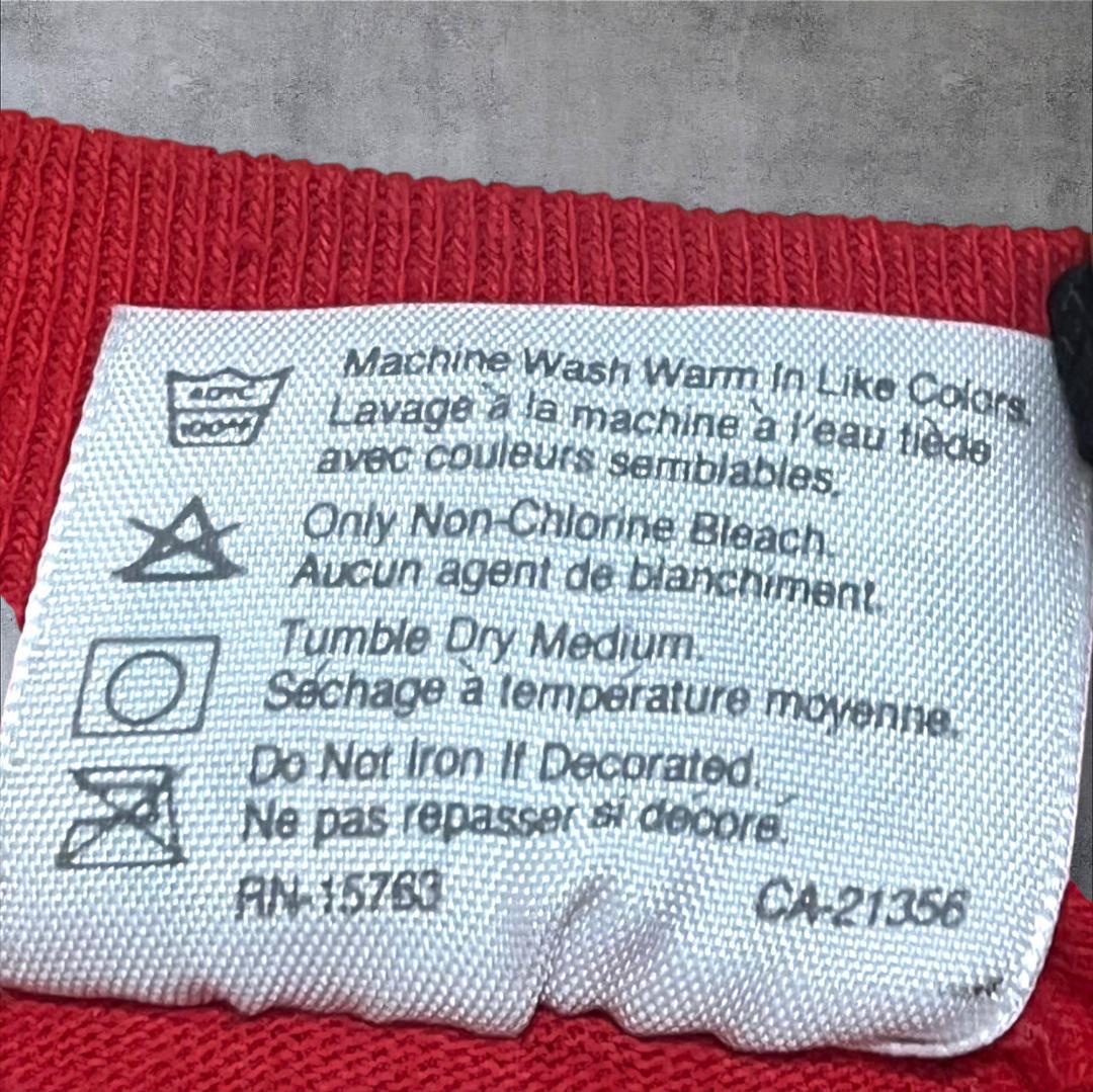 90s 企業T PC IT系 USA製 apple風 赤 co-u-2505-023