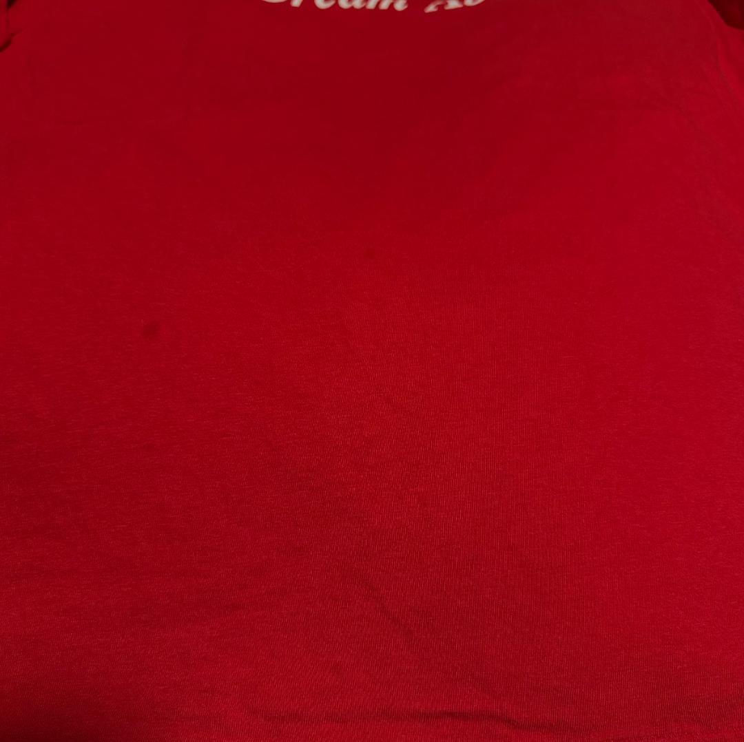 90s 企業T PC IT系 USA製 apple風 赤 co-u-2505-023