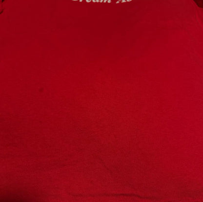 90s 企業T PC IT系 USA製 apple風 赤 co-u-2505-023