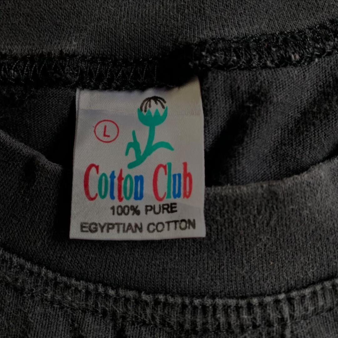 スーベニアT エジプト アート Tシャツ 刺繍 フェード 炭黒 L o-000015