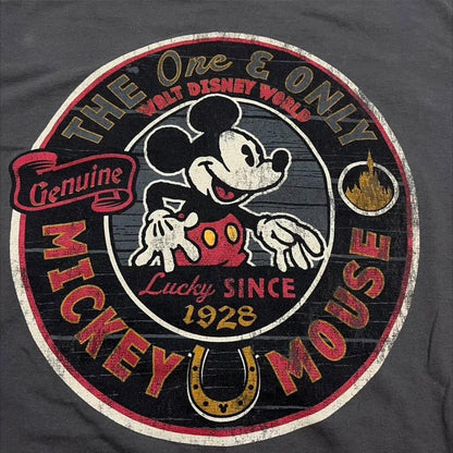 00s ディズニー ミッキーマウス グレー パーク d-000024