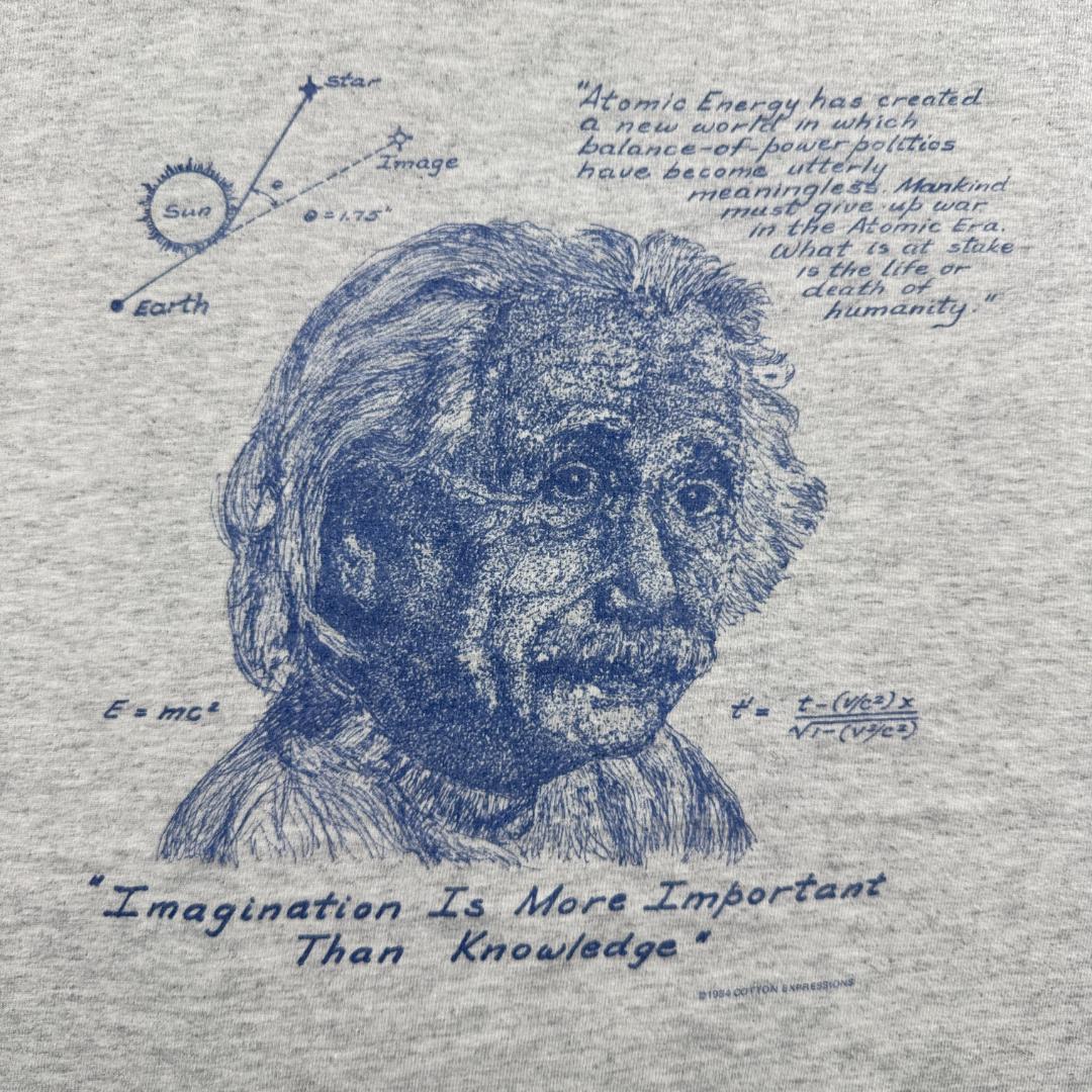 Tシャツ アインシュタイン 名言 アート グレー L a-t-2505-010